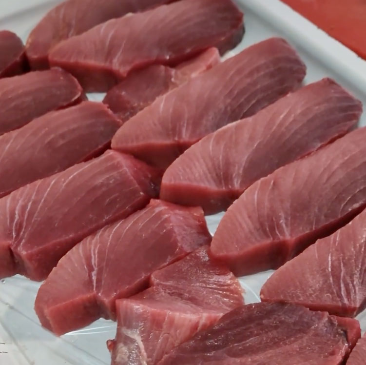 Fresh Adriatic blue fin tuna