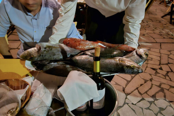 dubrovnik-kasar-restaurant-53