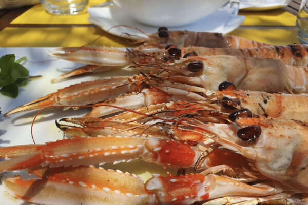 dubrovnik-kasar-restaurant-13